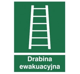 Znak drabina ewakuacyjna (118)