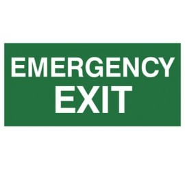 Znak EMERGENCY EXIT (806)