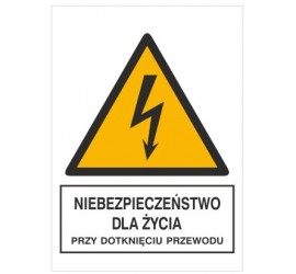 Znak niebezpieczeństwo dla życia przy dotknięciu przewodu (330-06)