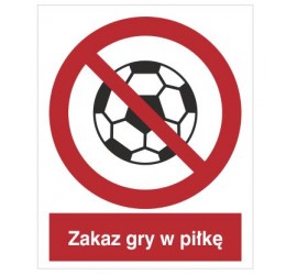 Znak zakaz gry w piłkę (651)