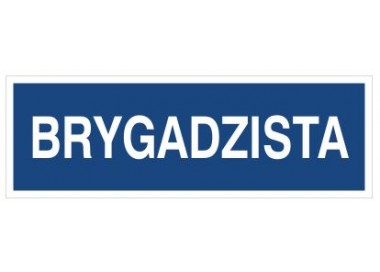 Brygadzista (801-63)