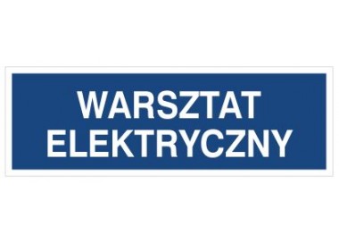 Warsztat elektryczny (801-187)