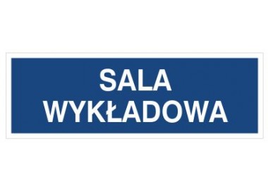 Sala wykładowa (801-229)