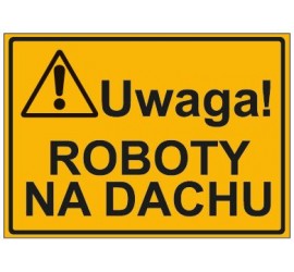 UWAGA! ROBOTY NA DACHU (319-02)